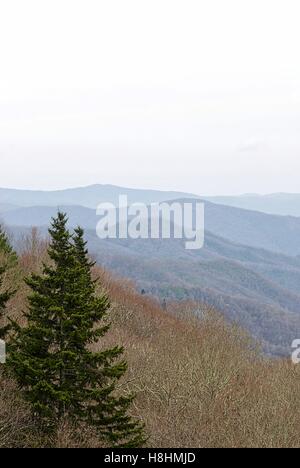 View across the Great Smoky Mountains in Tennessee, USA. Stock Photo