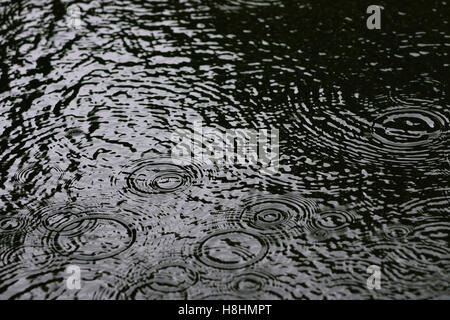 ripples on pond Stock Photo