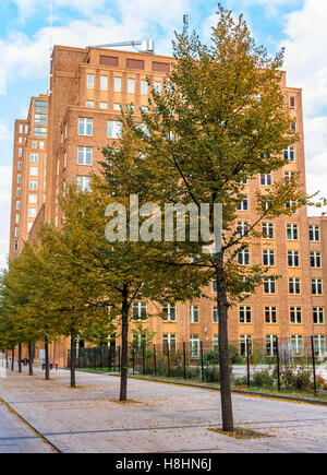 The Hague , the Netherlands - October 29, 2016: trees lining a street in The Hague Stock Photo