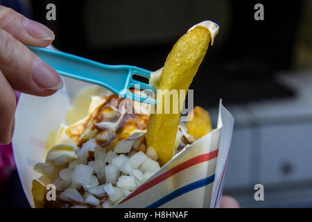 The Hague, the Netherlands - October 29, 2016: french fries with mayo, onions and peanut sauce Stock Photo