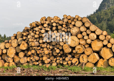 Logs neatly stacked in the mountains, closeup Stock Photo