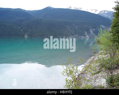 A Bird Flying Low Over Muncho Lake, British Columbia, Canada Stock Photo