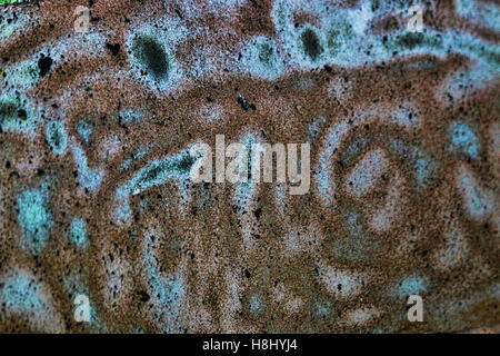 Pattern of burnt paint of a car after a fire Stock Photo