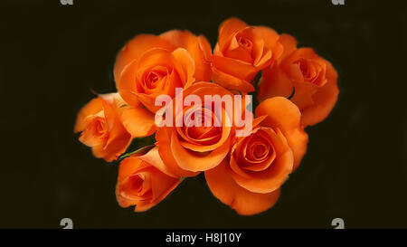 Bouquet Beautiful orange roses on black background Stock Photo