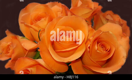 Bouquet Beautiful orange roses on black background Stock Photo