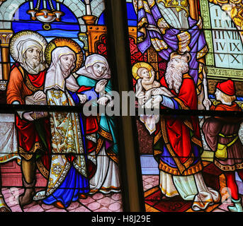 Stained Glass window depicting the Presentation of Christ at the Temple, in the Cathedral of Saint Rumboldt in Mechelen, Belgium Stock Photo