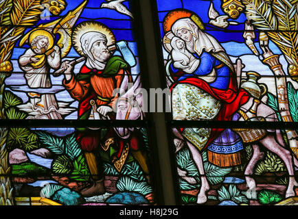Stained Glass window depicting Joseph, Mary and Jesus and the Flight to Egypt in the Cathedral of St Rumbold of Mechelen, Belgiu Stock Photo