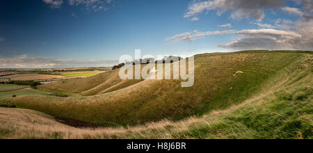 The Cherhill White Horse from Oldbury Iron Age hill fort in Wiltshire, UK Stock Photo