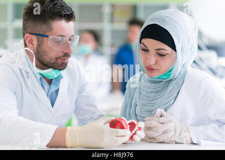Arab students with hijab while working on the denture, false teeth. Stock Photo