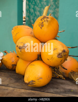 fresh coconuts on display on a table,Sri Lanka, Stock Photo