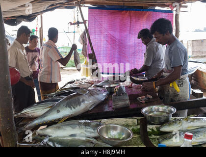 Fish market in Galle,Sri Lanka Stock Photo