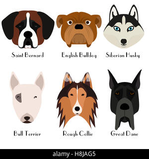 Set of 6 dog's head. Flat design. Pets. Cute doggies. Dog icon. Logo. Cartoon character. Animals. Stock Photo