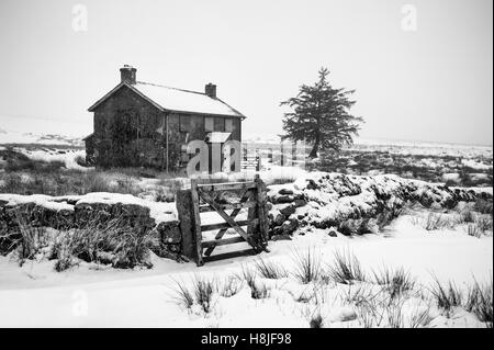 Snow covered Nuns Cross Farm on Dartmoor near Princetown during a winters day with a lone tree and boundary wall with gate. Stock Photo