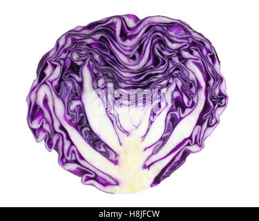 Fresh purple cabbage cut in half isolated on white background, close-up for texture and pattern of vegetable Stock Photo