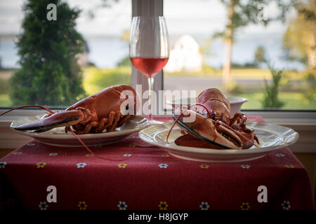 Two lobsters on a plate and a glass of rosé wine Stock Photo