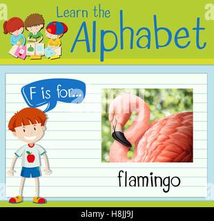 Flashcard letter F is for flamingo illustration Stock Vector