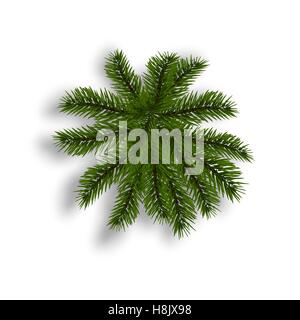 Green fir with realistic shadow. View from above. Fir branches. Isolated on white background. Christmas illustration Stock Vector