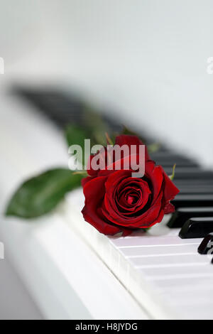 Musical instrument mixed with a red rose suggesting romance. A red rose lying on the piano keys Stock Photo