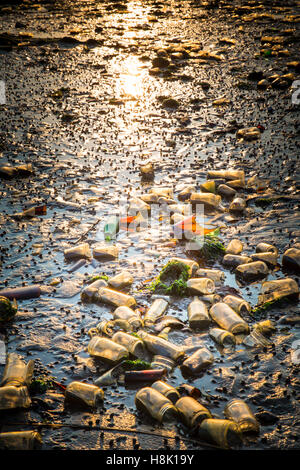 Glass bottles covering beach in Brooklyn New York City Dead Horse Bay landfill Stock Photo