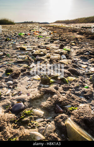 Glass bottles covering beach in Brooklyn New York City Dead Horse Bay landfill Stock Photo