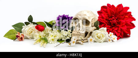 A model skull surrounded by artificial flowers. Stock Photo
