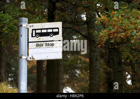 Trail directions on wooden post Stock Photo