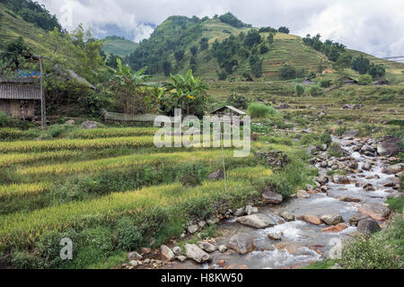 Rice fields and Muang Hoa River, in the Ta Van valley, Sa Pa, north Vietnam Stock Photo