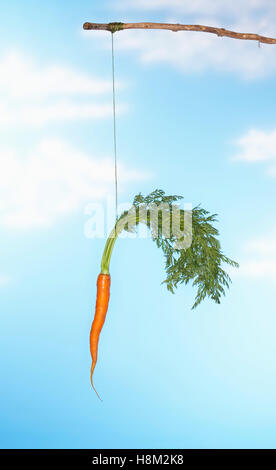 Dangling Carrot From Stick Stock Photo