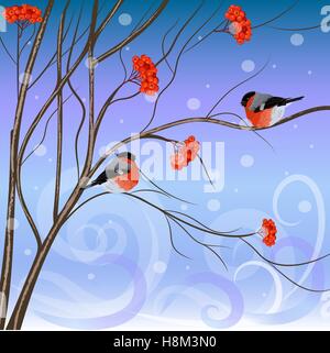 Winter card with bullfinches sitting on rowan Stock Vector