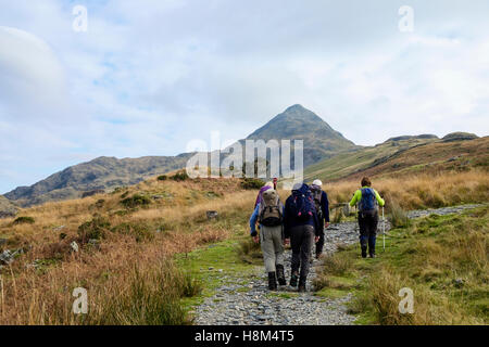 Hikers hiking on a mountain path up Cnicht in mountains of Snowdonia National Park from Croesor, Gwynedd, Wales, UK, Britain Stock Photo