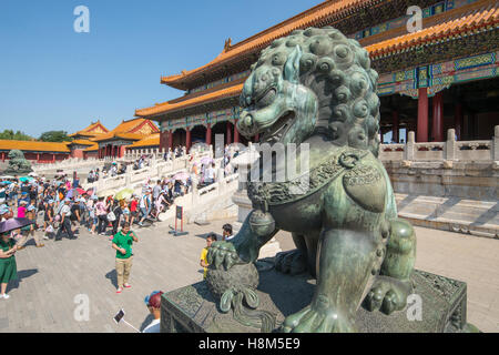 Beijing China - Detail of a bronze guardian lion statue (Shi) with tourists entering the Palace Museum in the background located Stock Photo