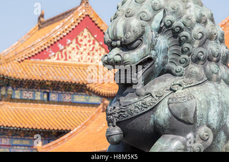 Beijing China - Detail of a bronze guardian lion statue (Shi) with the ornamented architecture of the Palace Museum in the backg Stock Photo