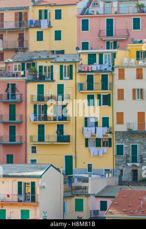 Traditional colorful italian houses, Manarola, Cinque Terre, Italy Stock Photo