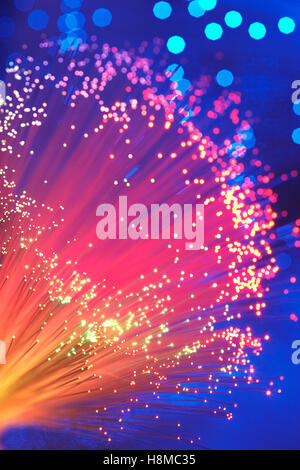 Fibre Optic Stock Photo