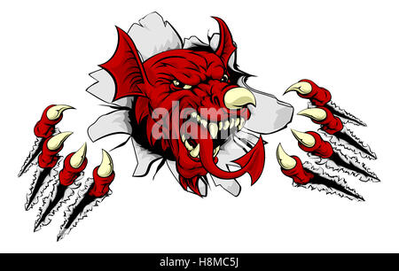 Welsh red dragon Y Ddraig Goch breaking through the background with his claws. Sports mascot. Stock Photo