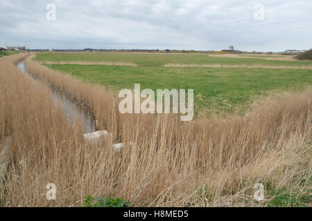 Looking out from Southwold harbour towards the town over the grassland flood plains across from the river Blyth Stock Photo
