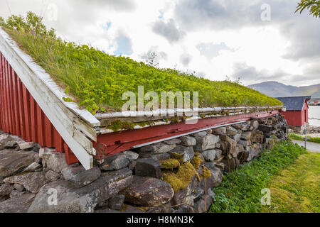 Traditional house and turf roof, Ramberg. Lofoten wild flowers, Lofoten Islands, Norway. Stock Photo