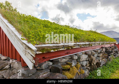 Traditional house and turf roof, Ramberg. Lofoten wild flowers, Lofoten Islands, Norway. Stock Photo