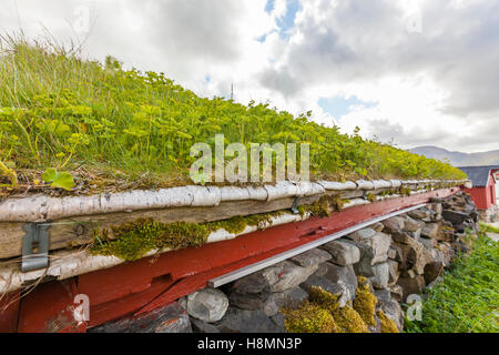 Traditional house and turf roof, Ramberg. Lofoten wild flowers, Lofoten Islands, Norway. Stock Photo