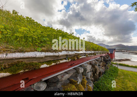 Traditional house and turf roof, Ramberg. Lofoten wild flowers, Lofoten Islands, Norway. Stock Photo