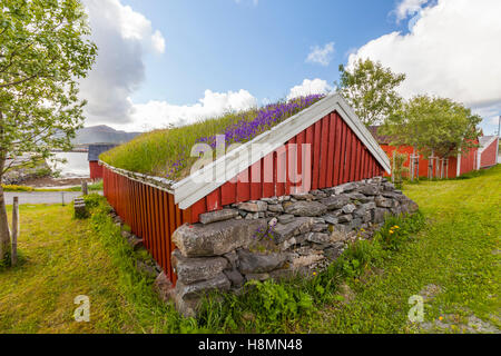 Traditional house and turf roof, Ramberg. Lofoten wild flowers, Lofoten Islands, Norway. Stock Photo