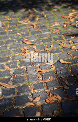 Yellow leaves on the stone pavement. Autumn background. Stock Photo