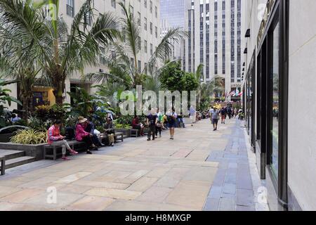 The Rockefeller Center building complex is centrally located in Manhattan's New York City district. 21 high-rise buildings form this. Manhattan, New York City, New York, USA Date: September 7, 2016 | usage worldwide Stock Photo