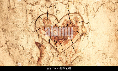 Heart Carved In A Tree Trunk Stock Photo