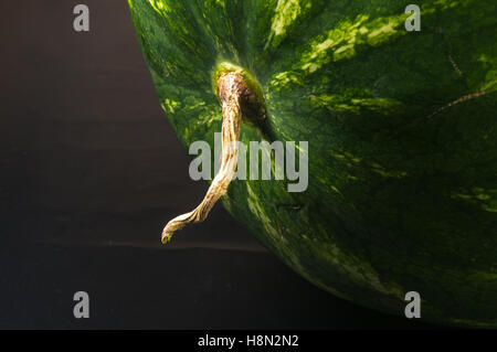 still life - ripe juicy watermelon on a black background Stock Photo