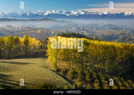 Autumn view across the Po Valley to the Ligurian Alps near Monforte d'Alba, Piemonte, Italy Stock Photo