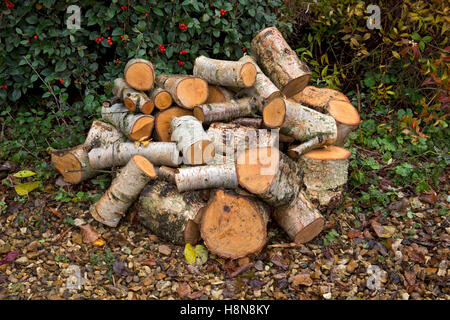 pile of logs ready to be cut for firewood Stock Photo