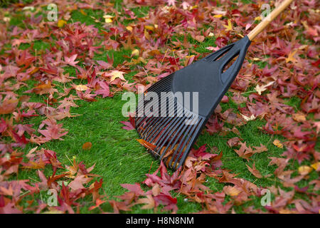 Raking leaves in English garden in Autumn Stock Photo