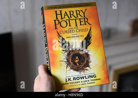 The New Book Harry Potter and the Cursed Child, Special Rehearsal Edition Script Parts One and Two, the book is held in a mans hand Stock Photo