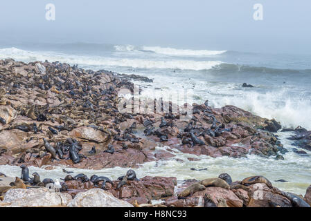 The seal colony at Cape Cross, on the atlantic coastline of Namibia, Africa. Expansive view on the beach, the rough ocean and th Stock Photo